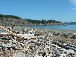 Spencer Spit State Park, Lopez Island, Washington State
