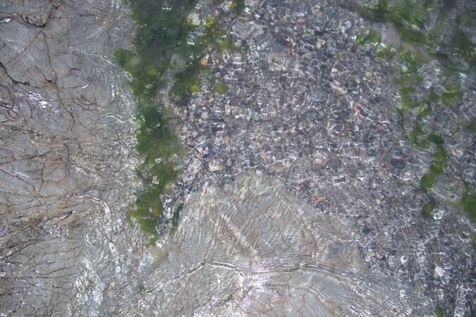 Tide pool, San Juan Island, Washington